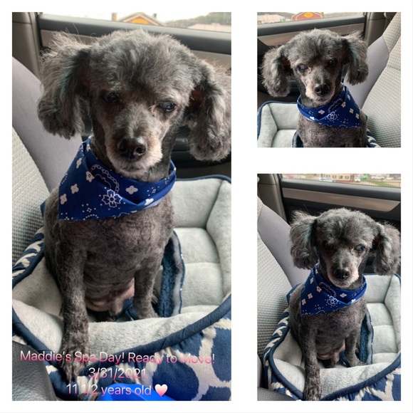 📺TT TV Sharing📦Tag List Below! - Picture 15 of 15